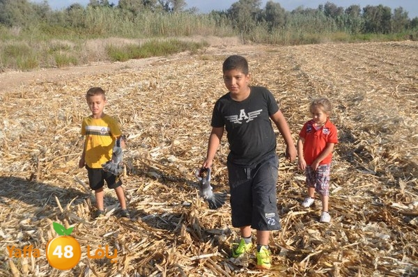 7amam lud monir 908 (12).JPG